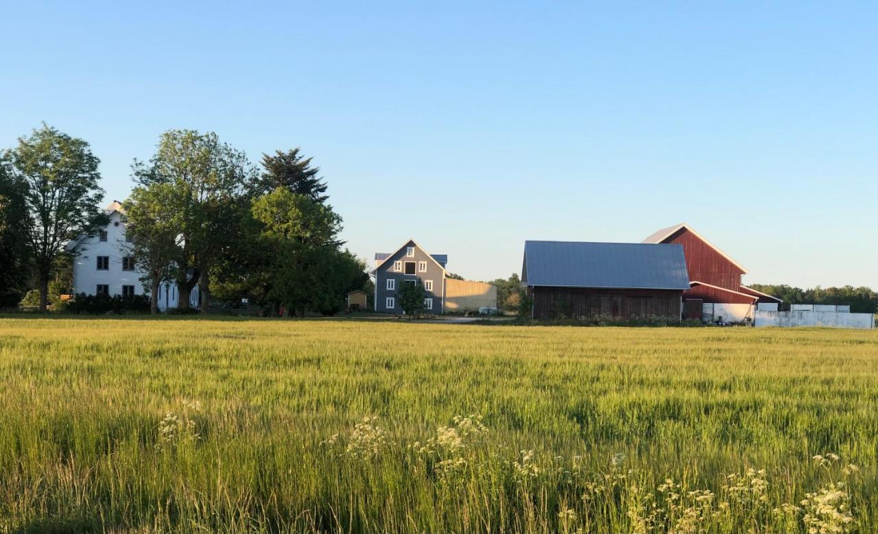 Isomegard Vaete Gotland Alloggio in famiglia